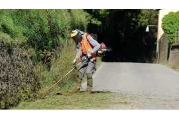 Sfalcio del verde nei fondi su strade urbane-extraurbane-vicinali del comune di Cori entro il 15 giugno 2025