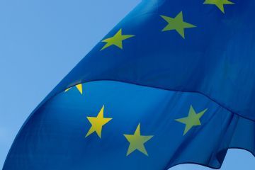 Elezioni Europee 2024 - Designazione dei rappresentanti di lista per le Consultazioni Elettorali