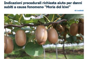 Avviso agli imprenditori agricoli, produttori del KIWI